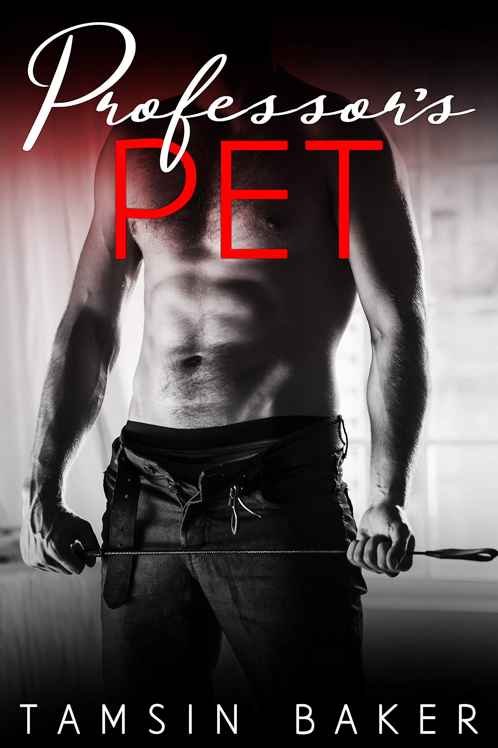 The Professor's Pet book cover