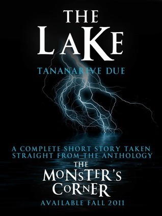 The Lake book cover