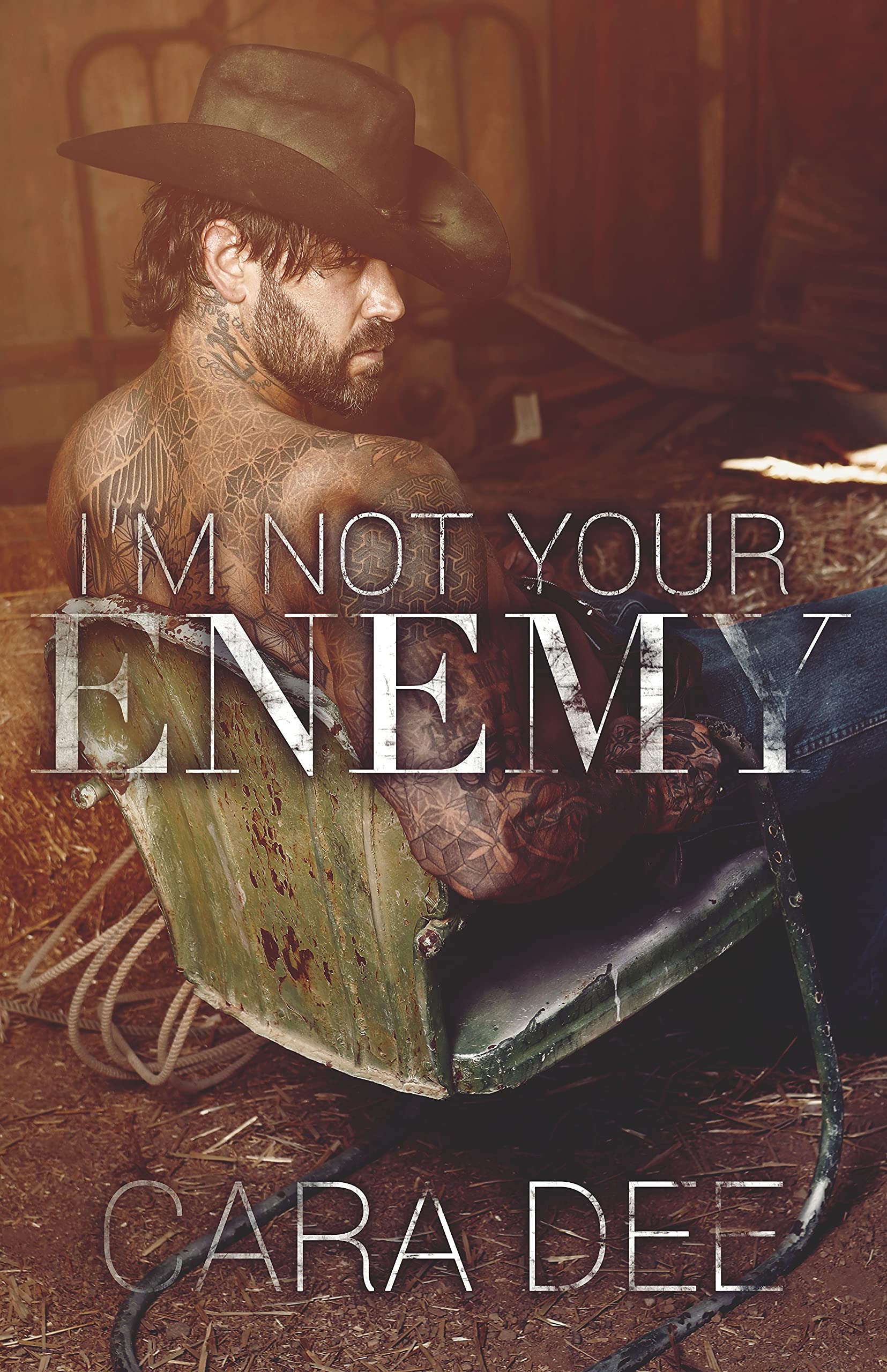 Enemies book cover 2
