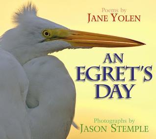 An Egret's Day book cover