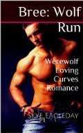 Romancing the Wolf book cover 1