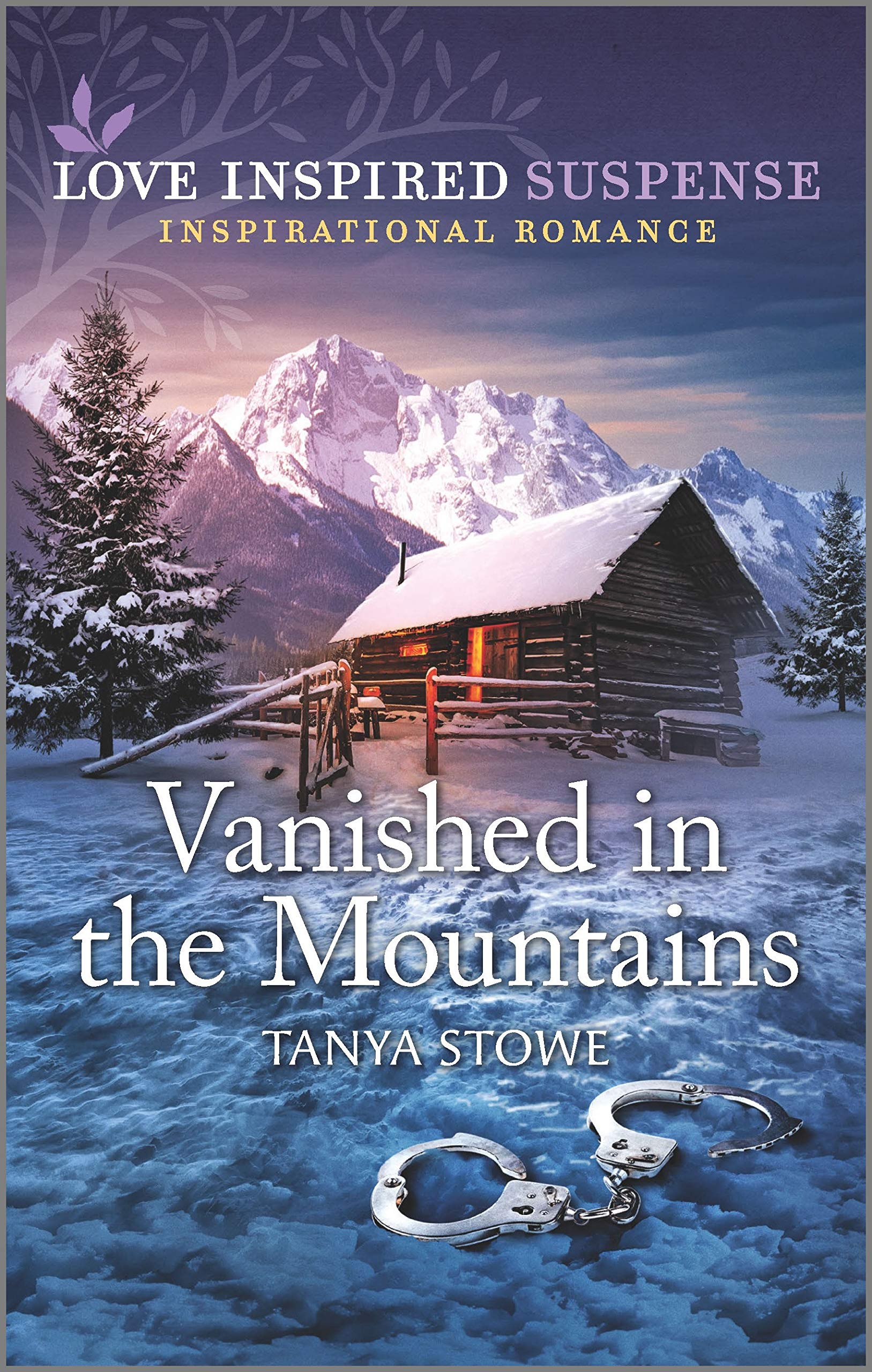 Vanished in the Mountains book cover