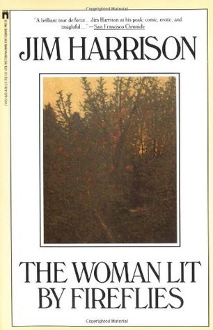 The Woman Lit By Fireflies book cover
