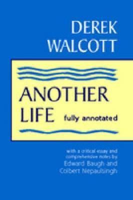 Another Life book cover