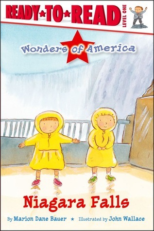 Niagara Falls book cover