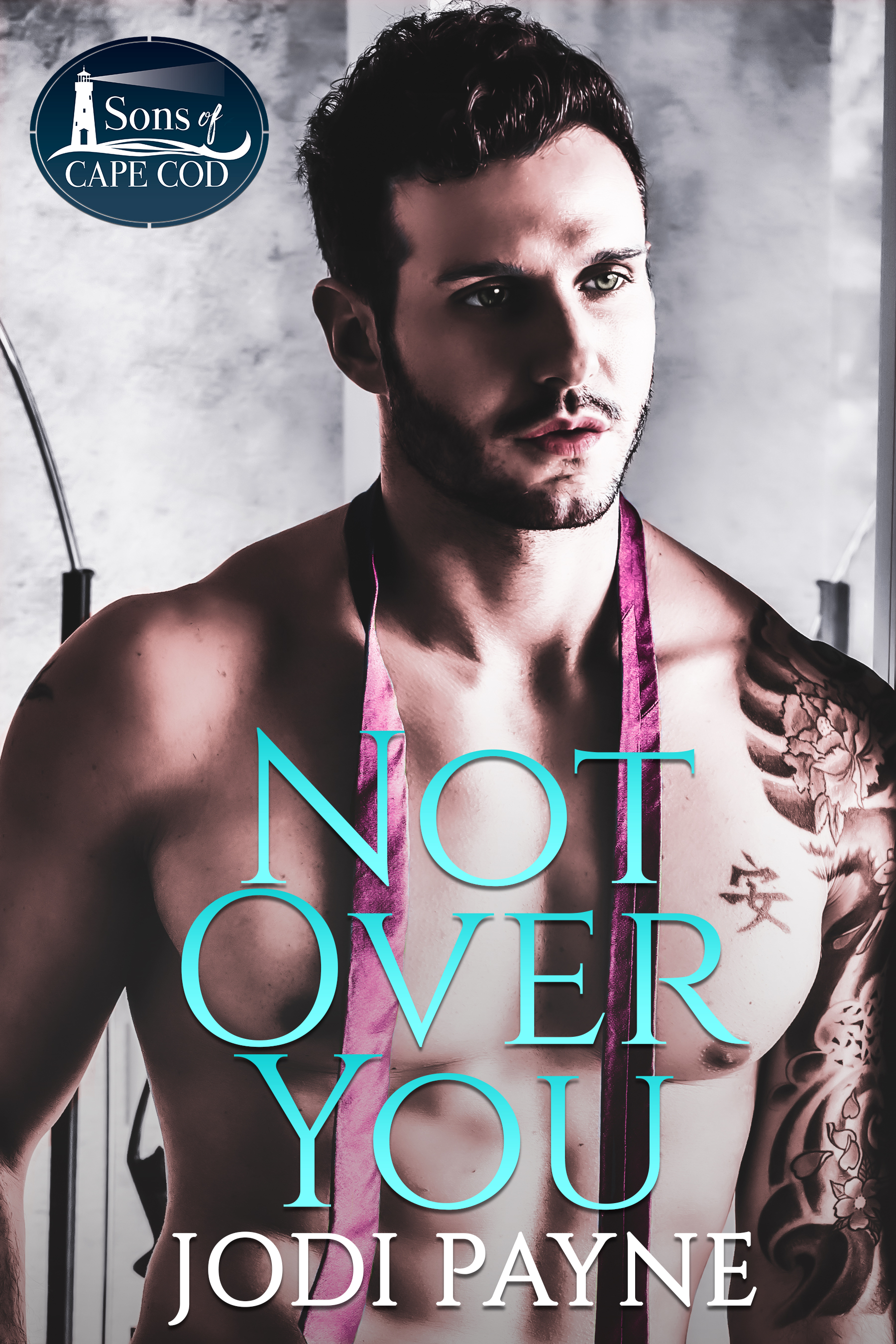 Sons of Cape Cod book cover 1