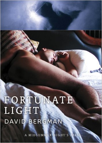 Fortunate Light book cover