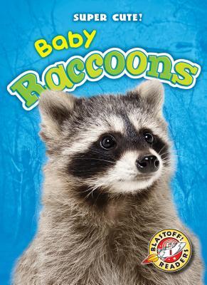 Baby Raccoons book cover