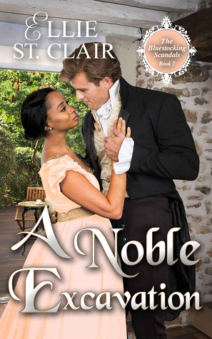A Noble Excavation book cover