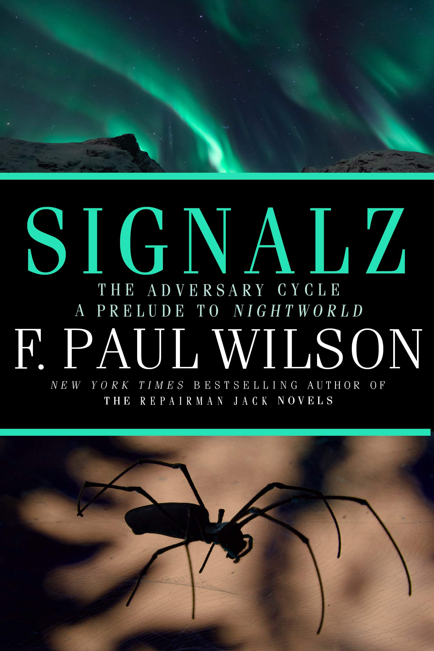 Signalz book cover