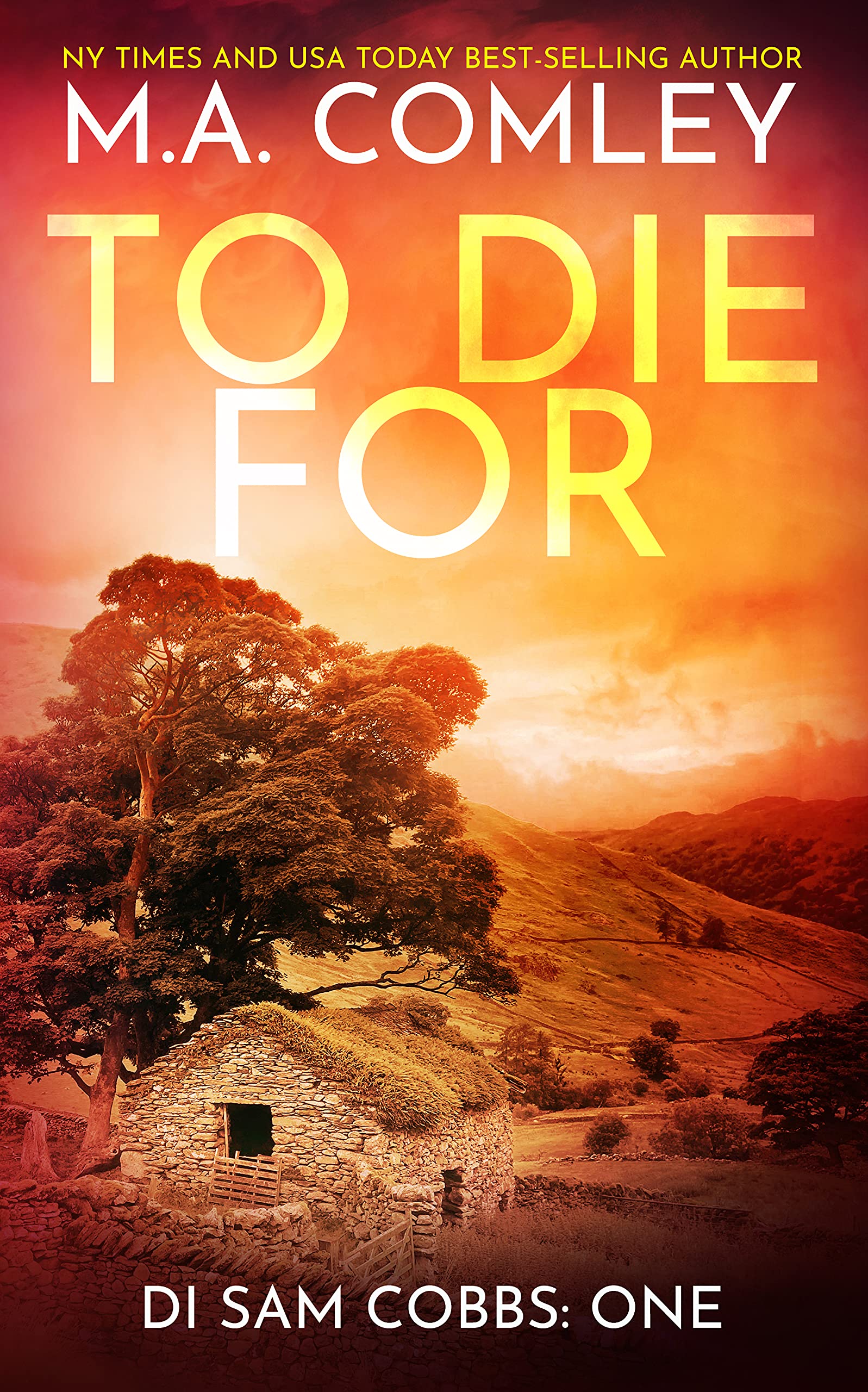 DI Sam Cobbs book cover 1