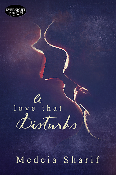 A Love That Disturbs book cover