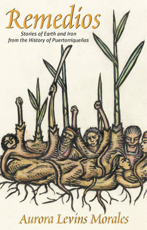 Remedios book cover