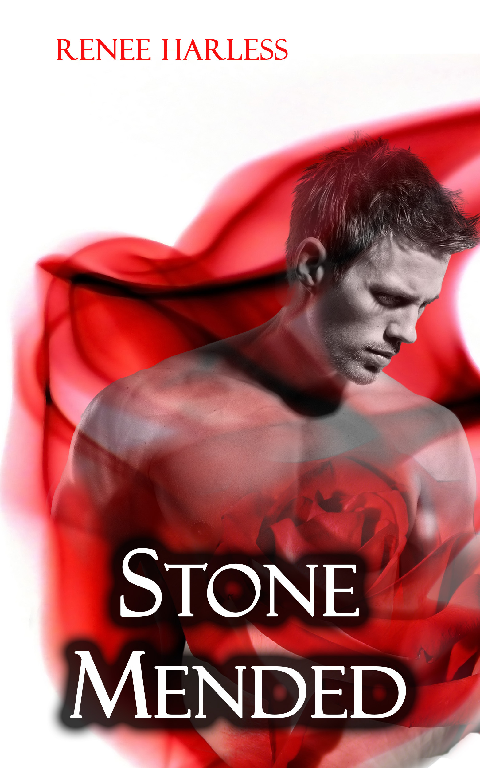 The Stone Trilogy book cover 3