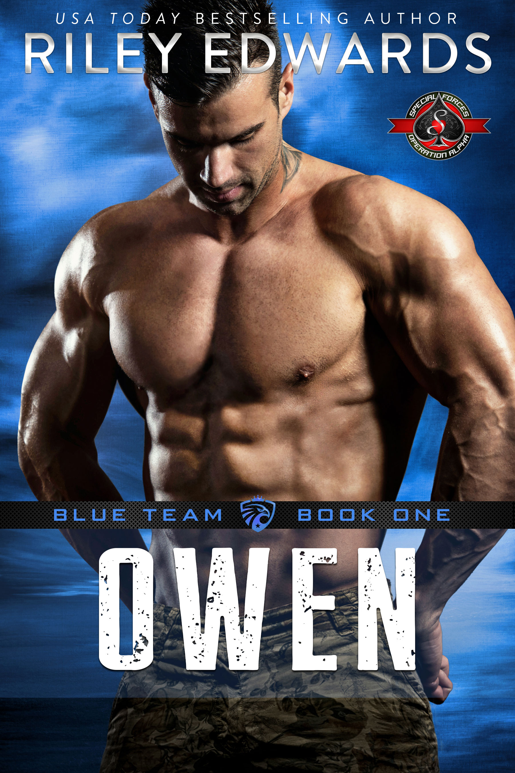 Blue Team book cover 1
