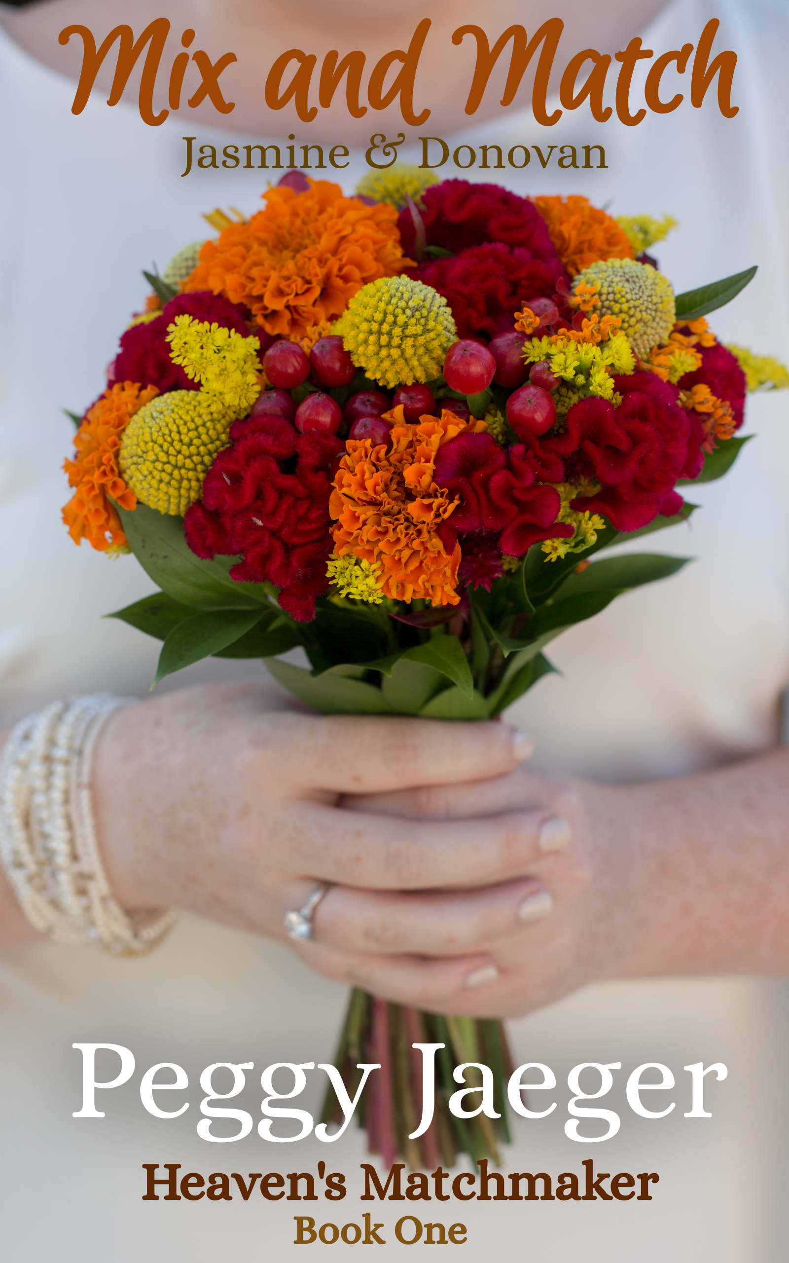 Mix and Match book cover