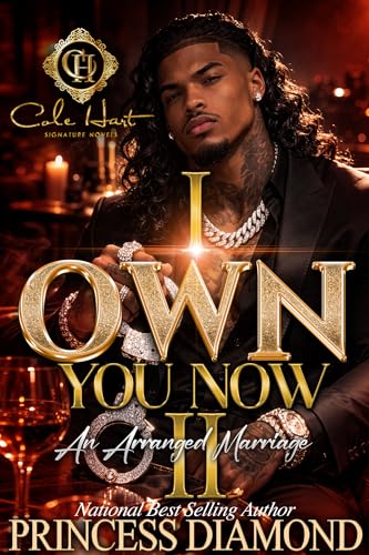 I Own You Now 2 book cover