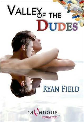 Valley of the Dudes book cover