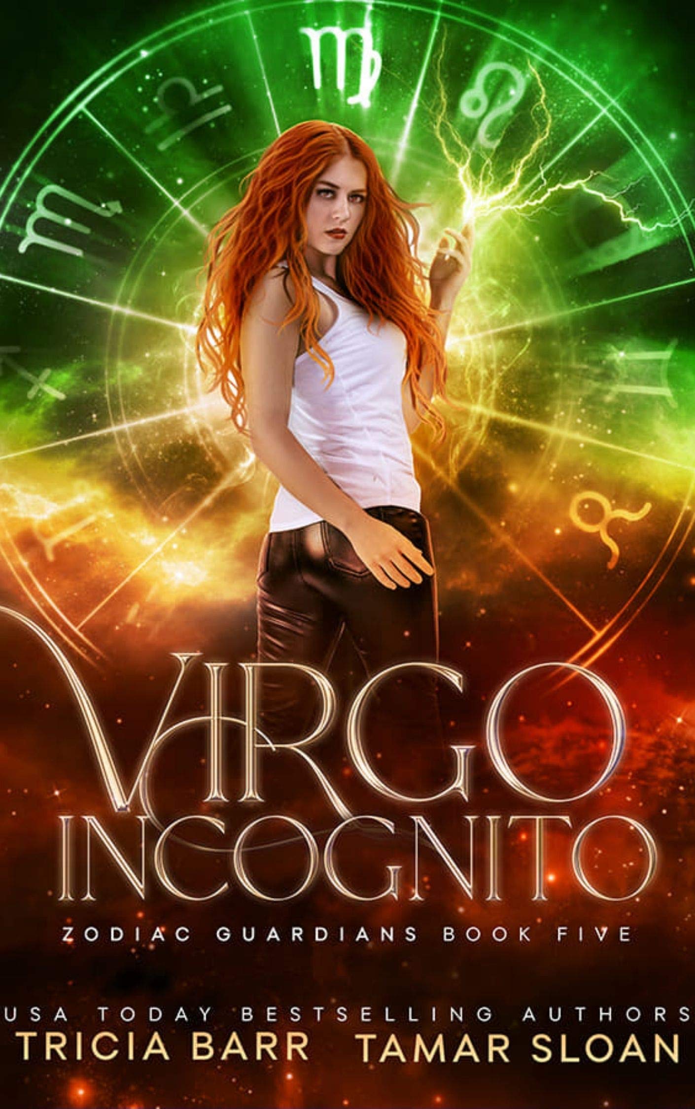 Virgo Incognito book cover