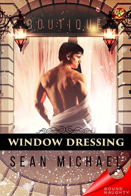 Window Dressing book cover