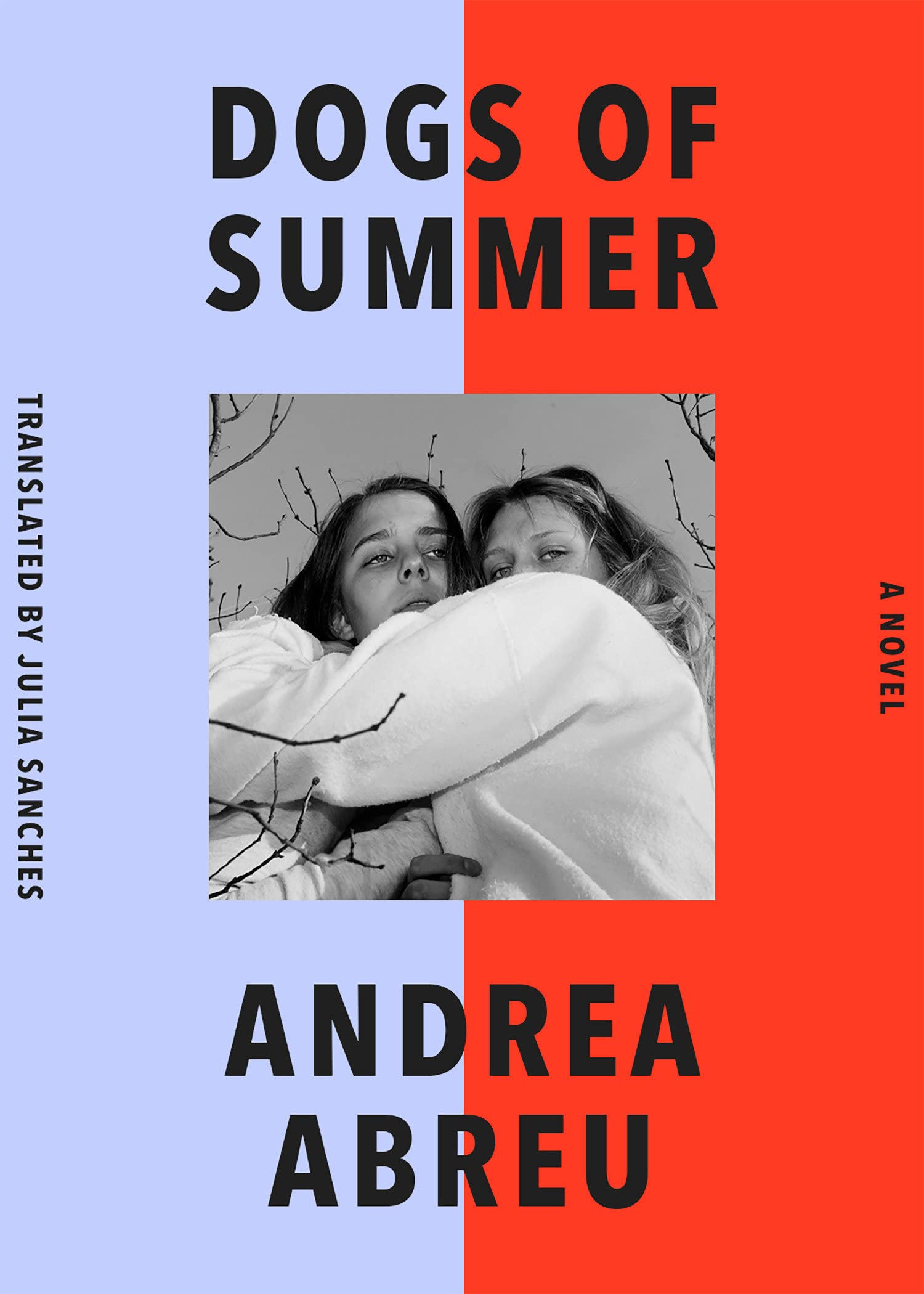 Dogs of Summer book cover