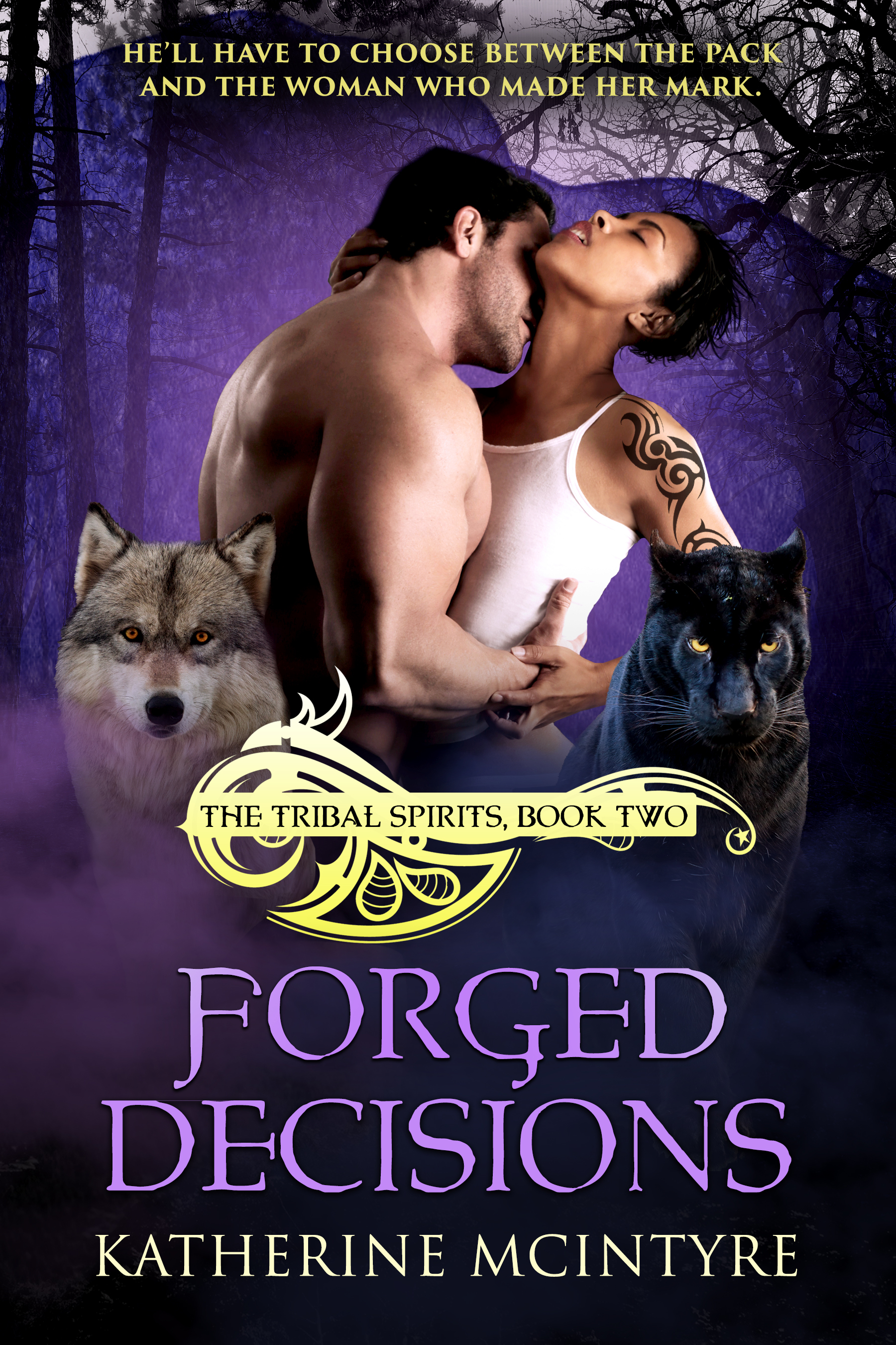 Tribal Spirits book cover 2