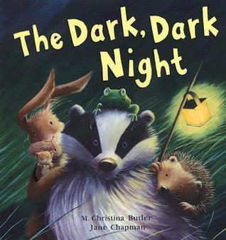 The Dark, Dark Night book cover