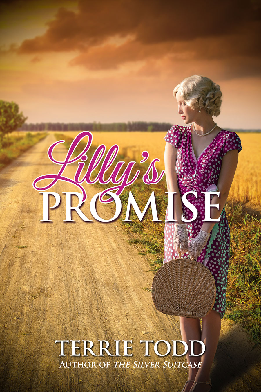 Lilly's Promise book cover