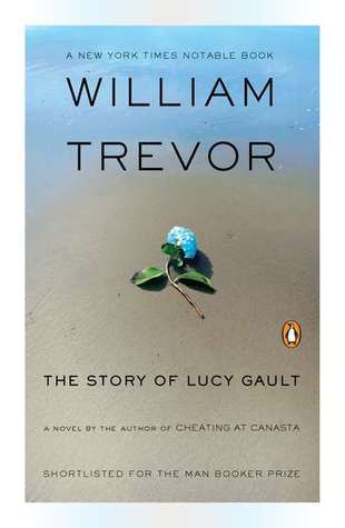 The Story of Lucy Gault book cover