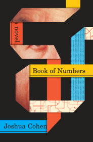 Book of Numbers book cover