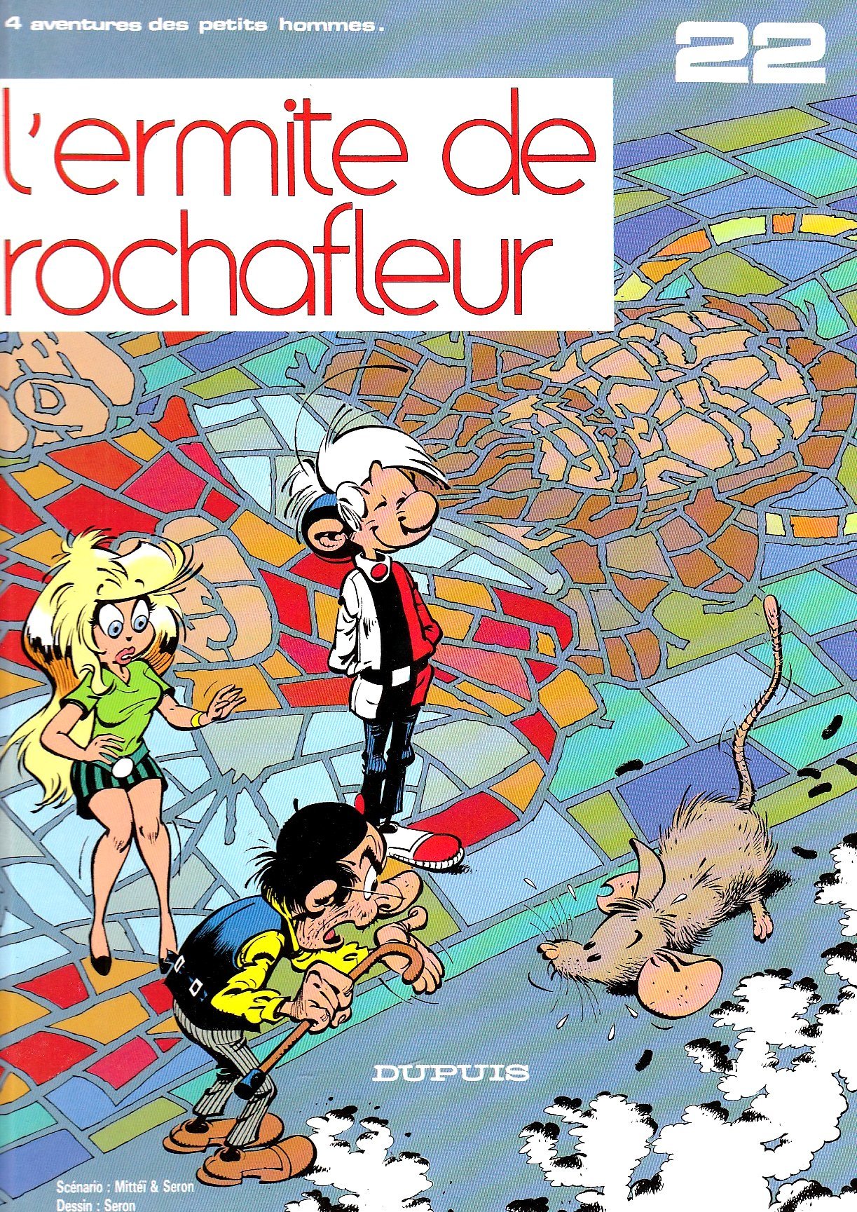 L'Ermite de Rochafleur book cover