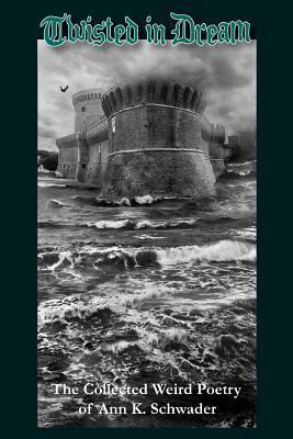 Twisted in Dream book cover