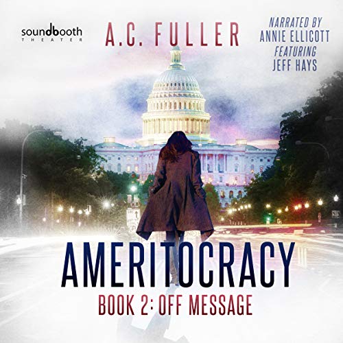 Ameritocracy book cover 2