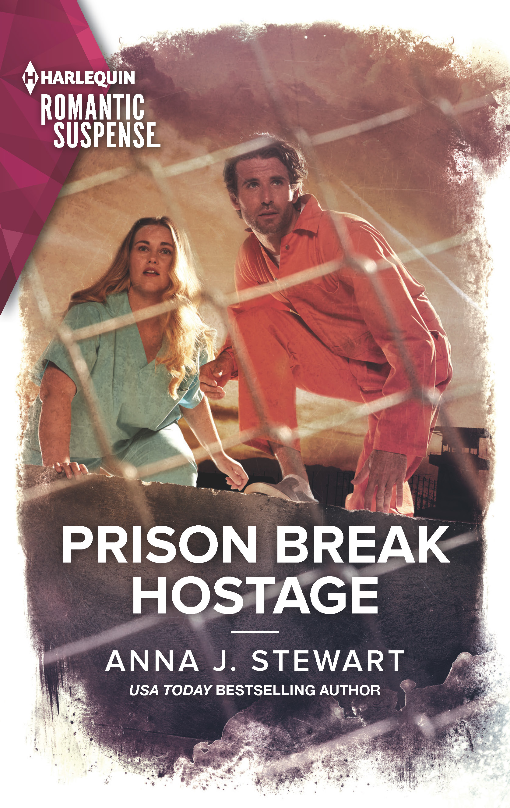 Prison Break Hostage book cover