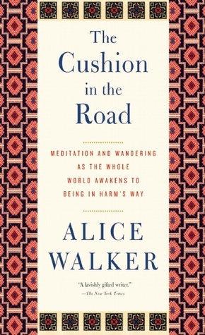 The Cushion in the Road book cover