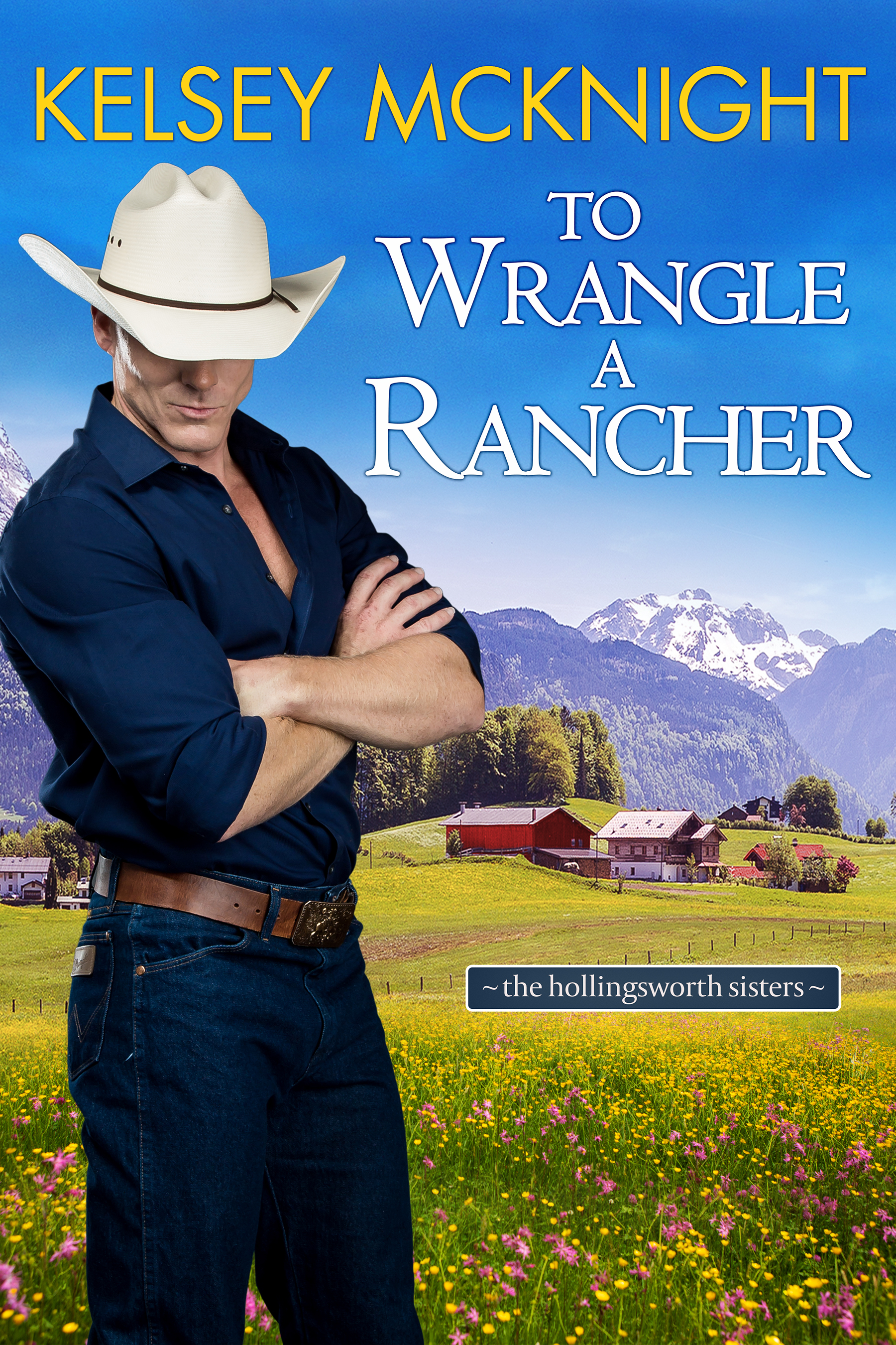 The Hollingsworth Sisters book cover 1