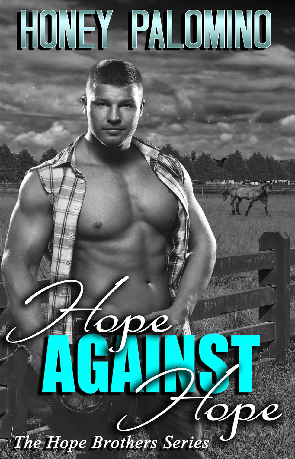 The Hope Brothers book cover 1