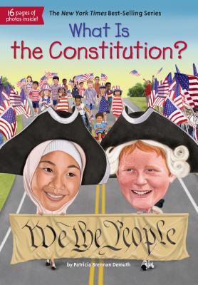 What Is the Constitution? book cover