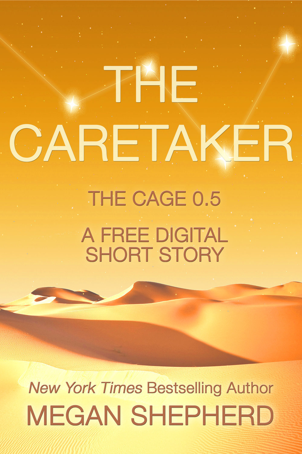 The Caretaker book cover