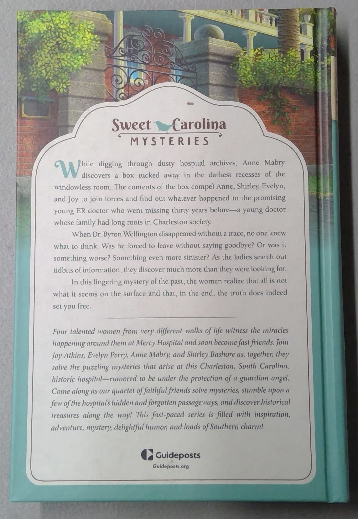 Picture-Perfect Mystery - Sweet Carolina Mysteries book cover