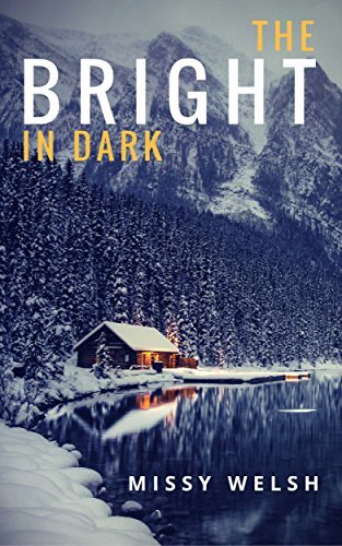 The Bright In Dark book cover