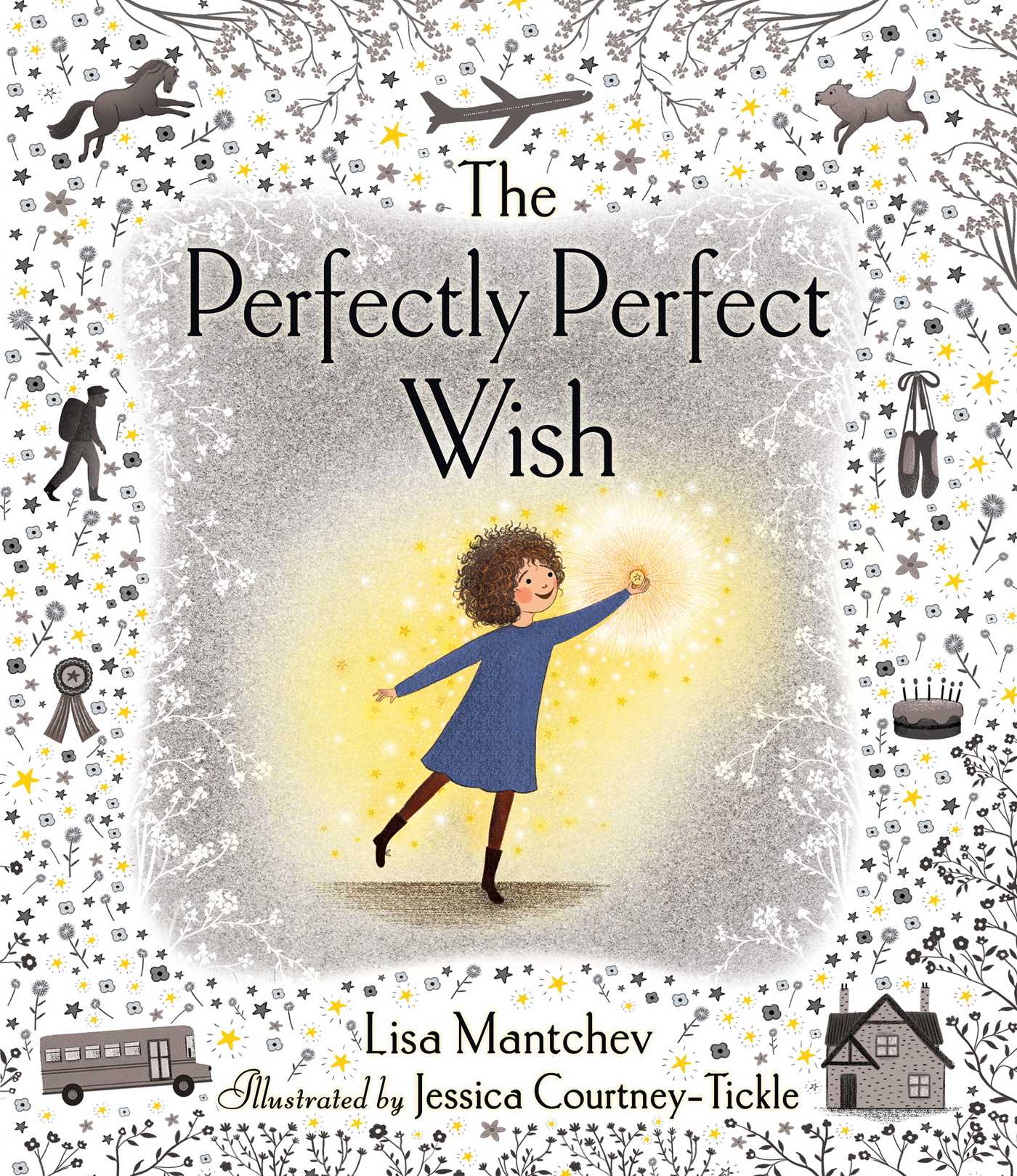The Perfectly Perfect Wish book cover