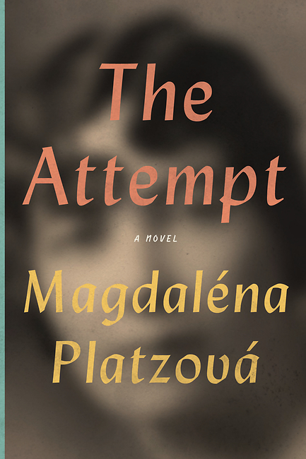 The Attempt book cover