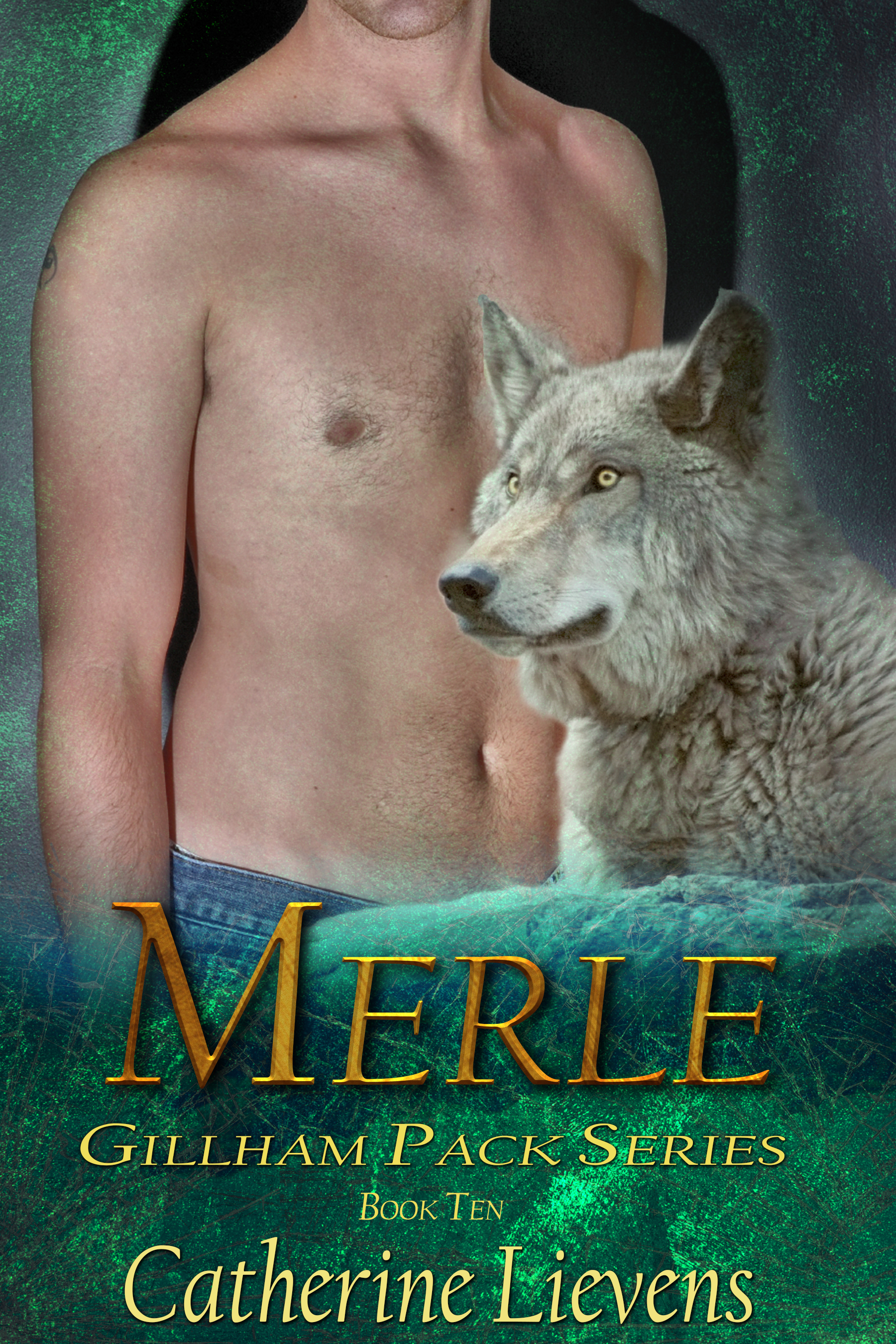 Merle book cover