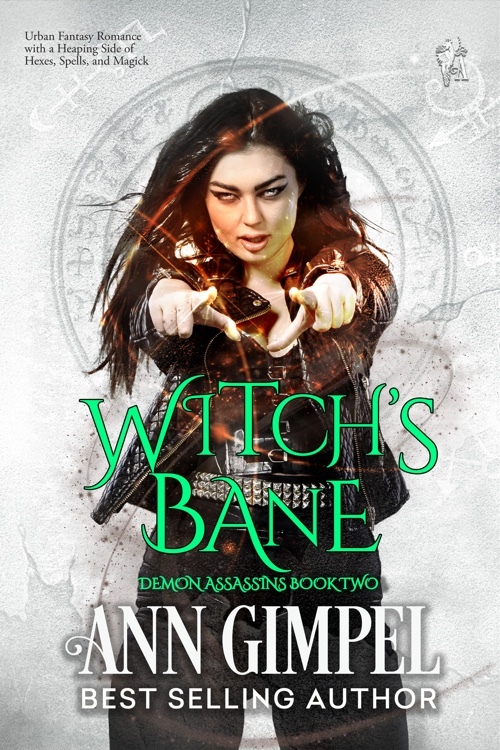 Demon Assassins book cover 2