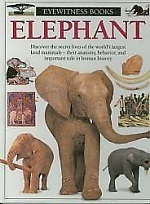 Elephant book cover