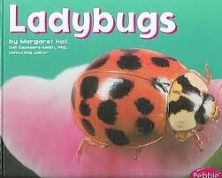 Ladybugs book cover