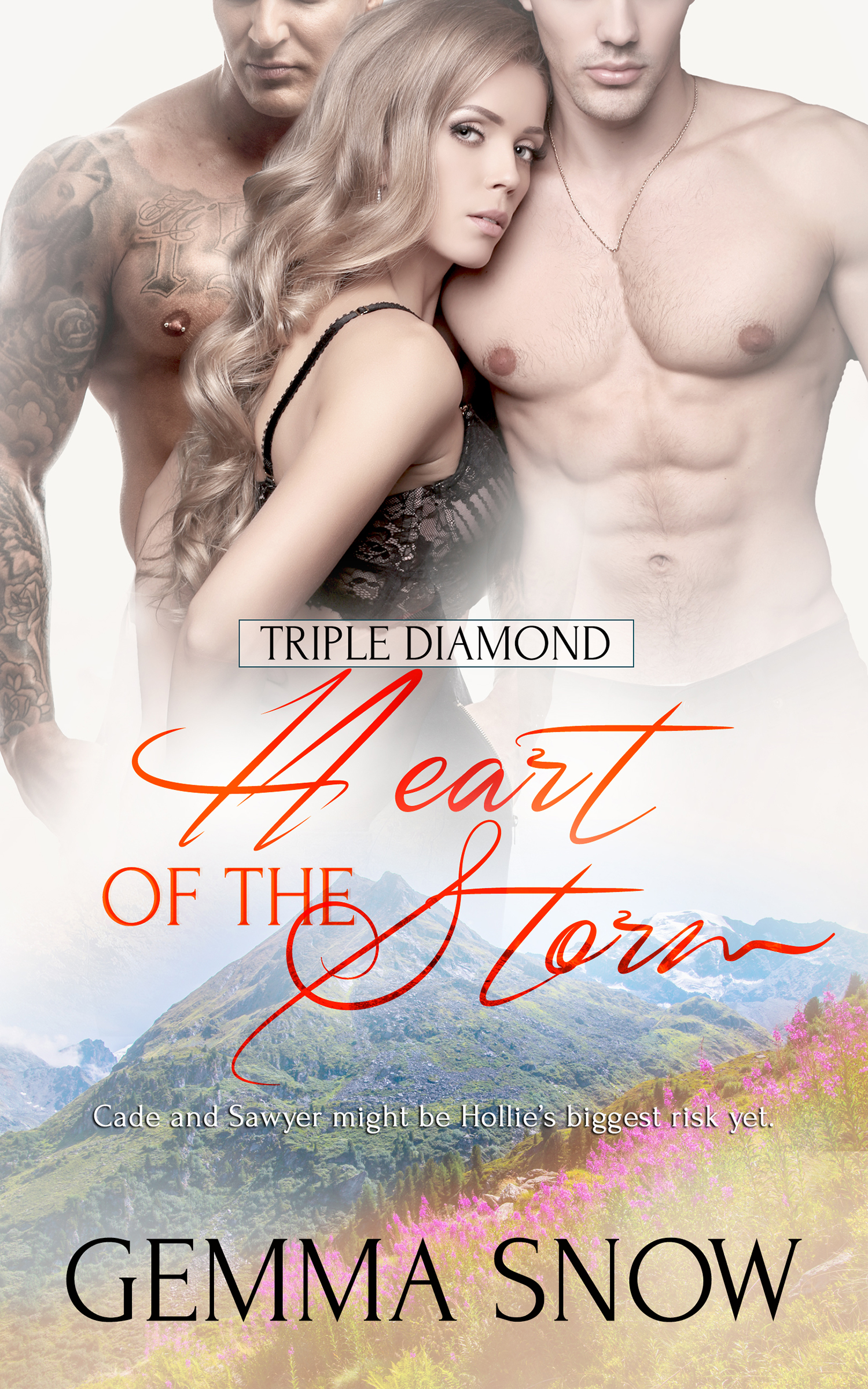 Heart of the Storm book cover