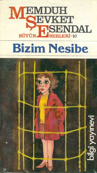 Bizim Nesibe book cover