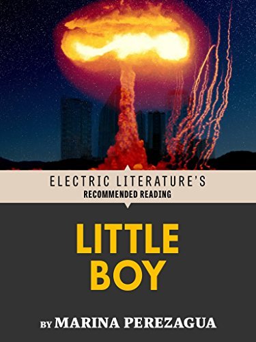 Little Boy book cover